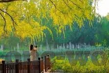 mk体育在线直播-MK体育，在线直播的革新之旅