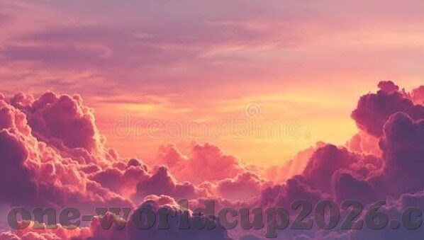 星空体育综合登录-让运动与星空共舞