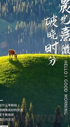 足球 比分 英冠-英冠风云，比分背后的激情与悬念