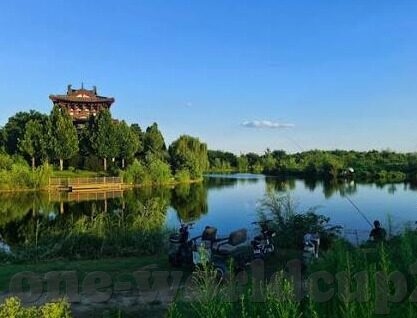 足球即时比分照-足球即时比分照，赛场风云的实时镜像
